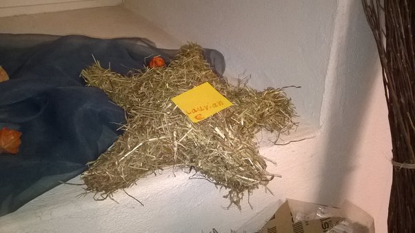 KinderTreff vom Dezember 2015 ... Strohsterne!